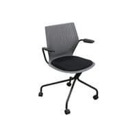 Used MultiGeneration Mobile Chair, Gray