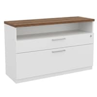 Canvas Storage Lateral File