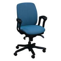 'Amicus Synchro' Conference Chair