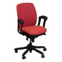 'Amicus Synchro' Conference Chair