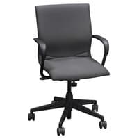 'Protege' Conference Chair