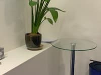 Plant Pot