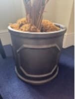 Plant Pot