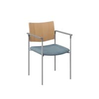 Evolve Chair Arms, Wood Back