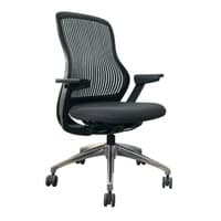 Pre-Owned Knoll Regeneration Chair (Black/Storm/Chrome)