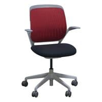 'Cobi' Mesh Conference Chair
